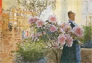 Carl Larsson Azalea oil on canvas